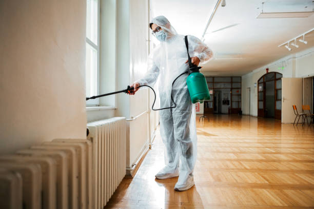 Best Rat Extermination Near Me  in Fayette, MS